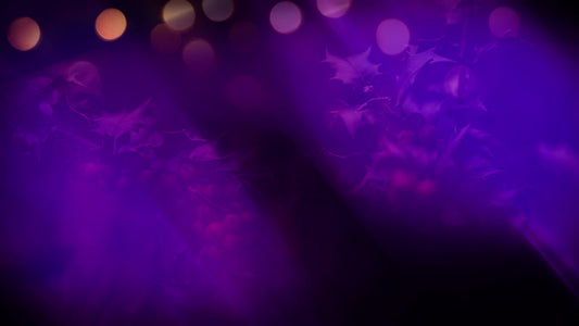 Christmas Light 07 Still