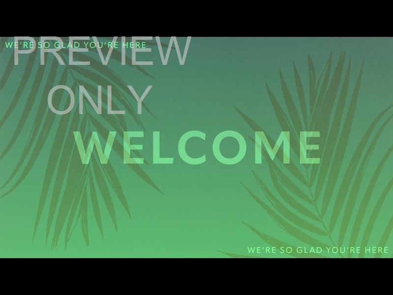 Risen Palms Welcome Still