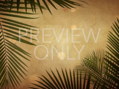 Palm Sunday Grunge Warm