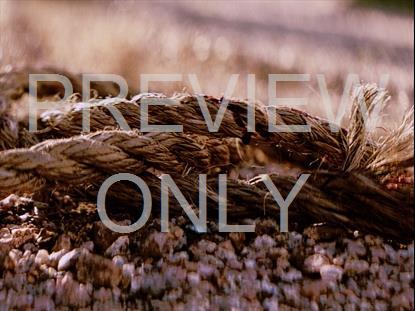 Easter Moments Good Friday