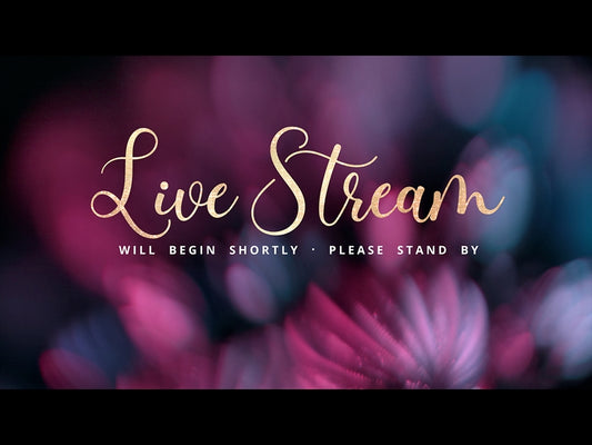 Christmas Ornamental Live Stream