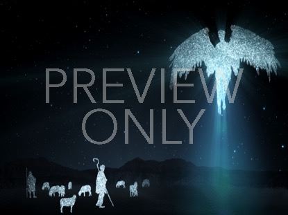 Starlight Nativity 6