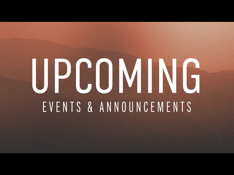 Wilderness Upcoming