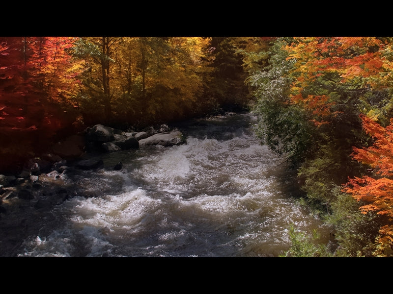 Northwest Fall 2