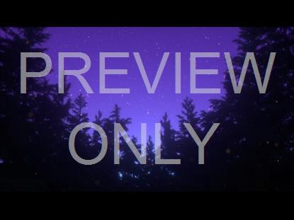 Summer Fireflies Nightpines