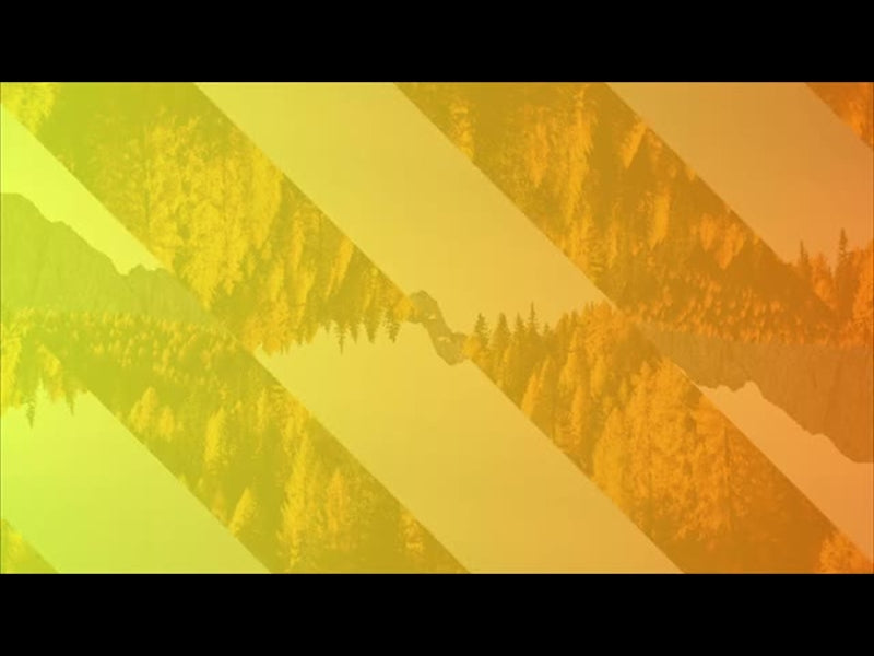 Gradient Leaves Motion 3