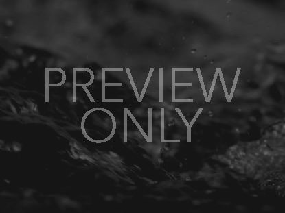 Black And White Torrent