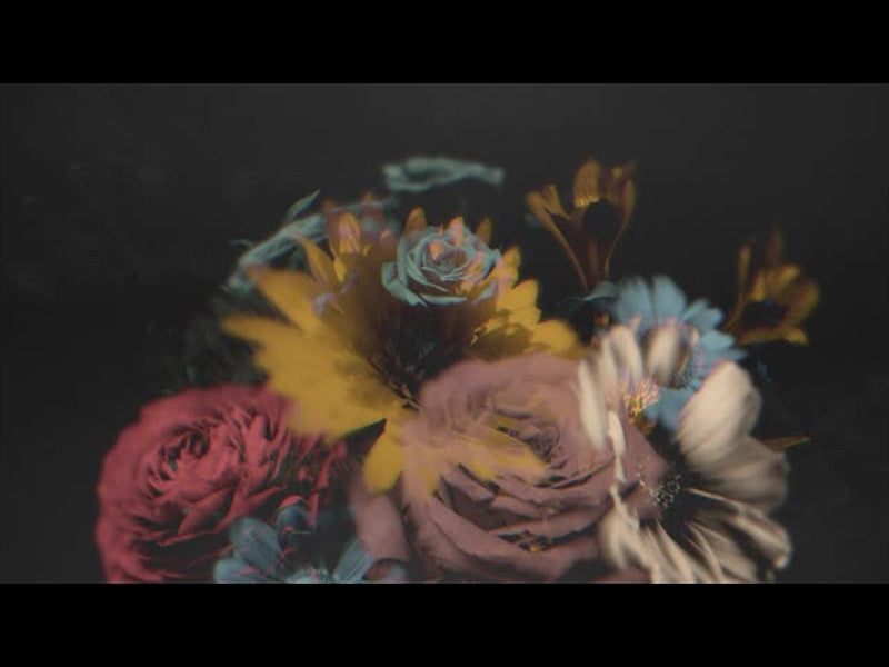 Deep Beauty Loop 05