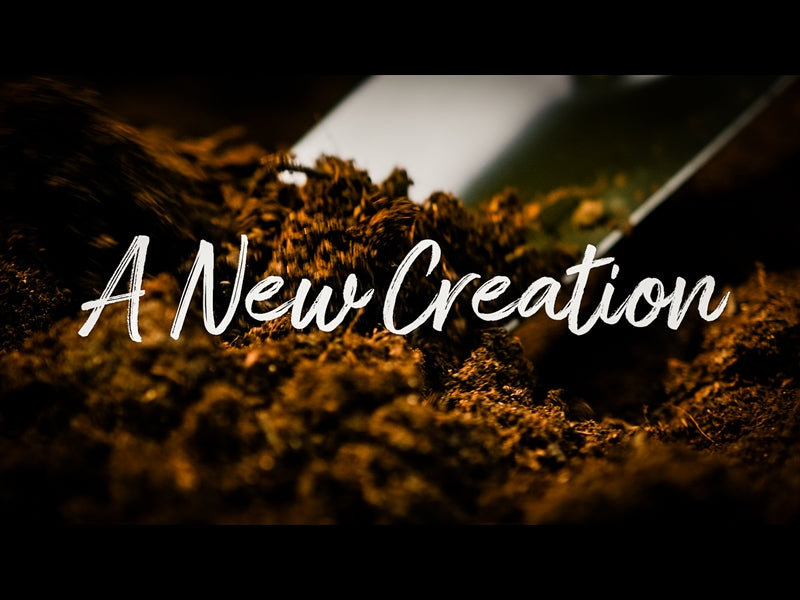 A New Creation