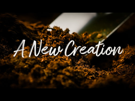A New Creation