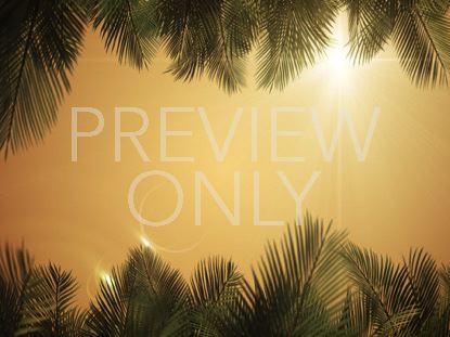 Sky View Palm Branches Gold Scroll