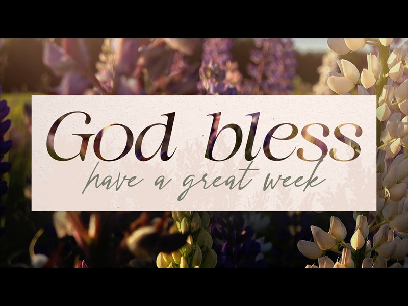 Flower Garden God Bless