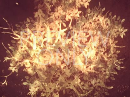 Thanksgiving Gratitude 5 Still