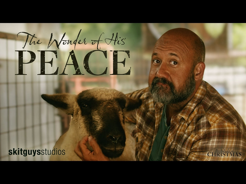 The Wonder Of Peace