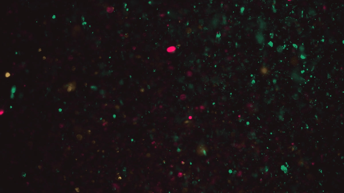 Christmas Glitter 09