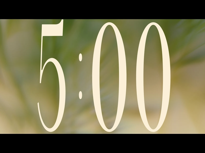 Forest Light Countdown 03