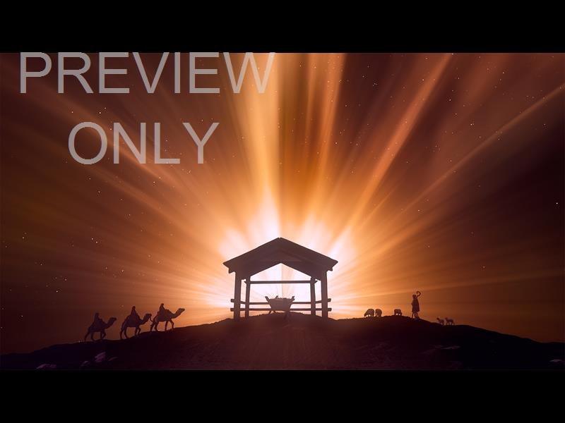 Christmas Manger 5 Still