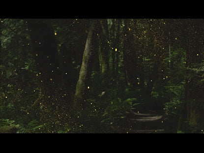 Forest Gold Motion Loop 02