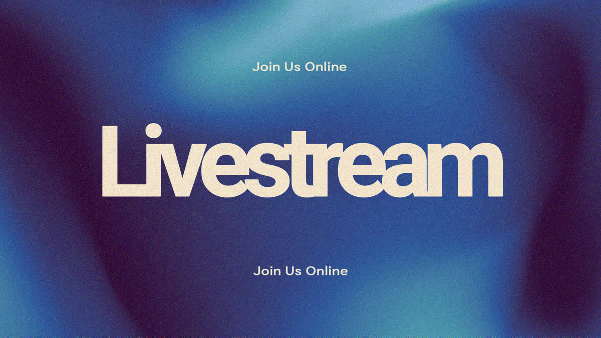 Hyper Bloom Livestream Still