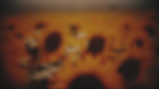 Vintage Sunflowers Warm Blur