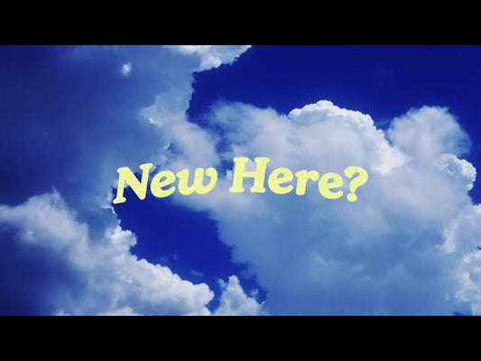 Perfect Day New Here