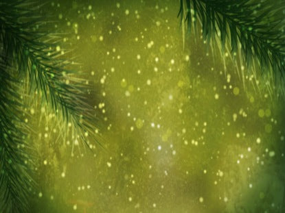 Fir Tree In Snow