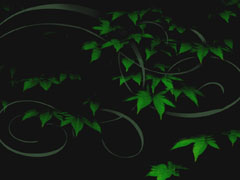 Plants 5