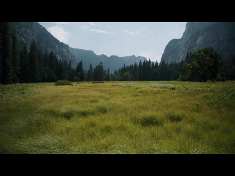 Yosemite Meadows Motion - 08