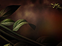Vines Left