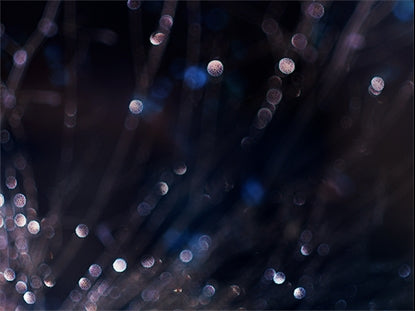Winter Frost 9