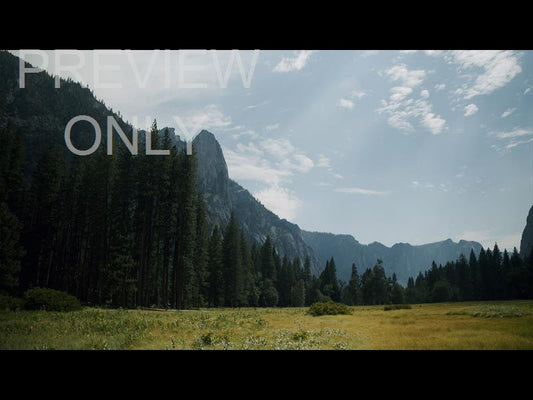 Yosemite Meadows Still - 13