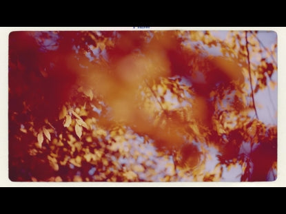 Dof Leaves Retro