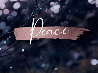 Winter Frost Peace