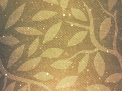 Seasonal Display Motion 5