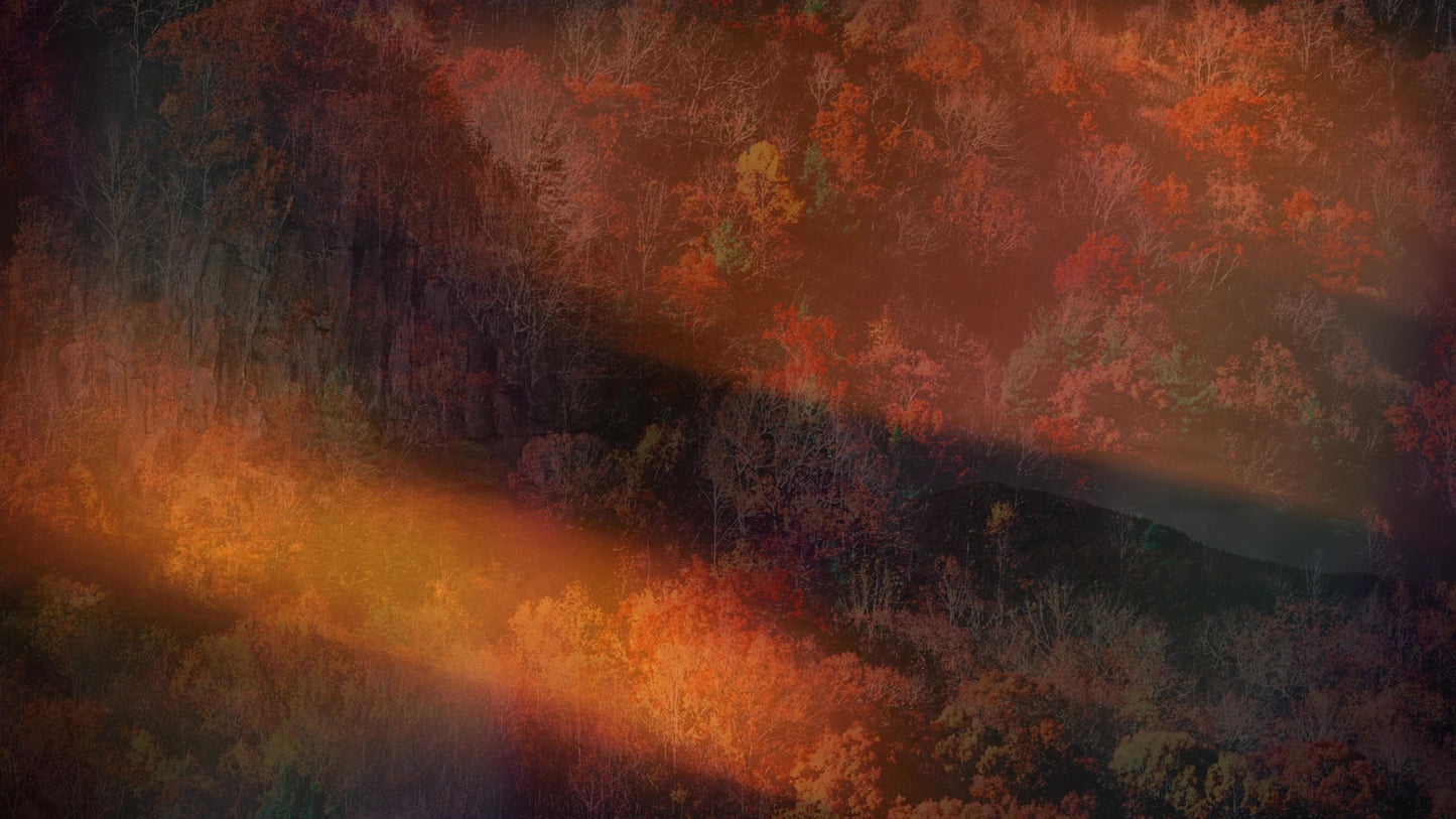 Subtle Fall 01 Still