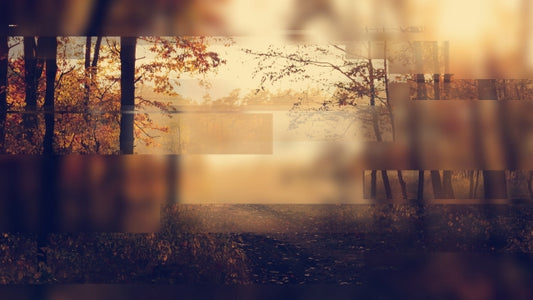Autumn Journey 06