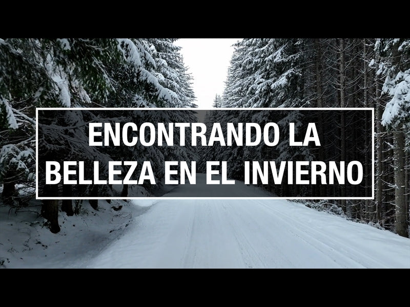 Encontrando La Belleza En El Invierno