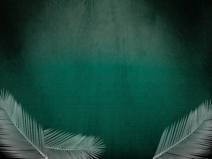 Redemption Palm Motion