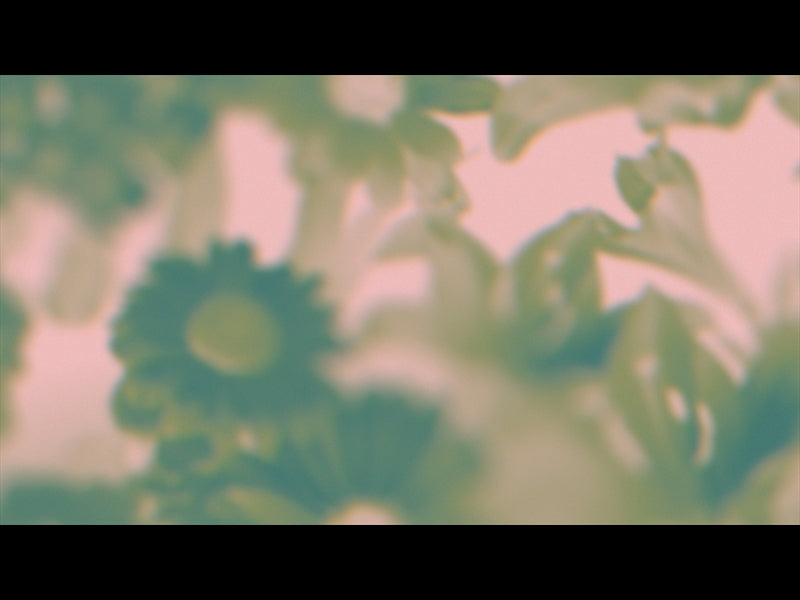 Made Beautiful Loop 07