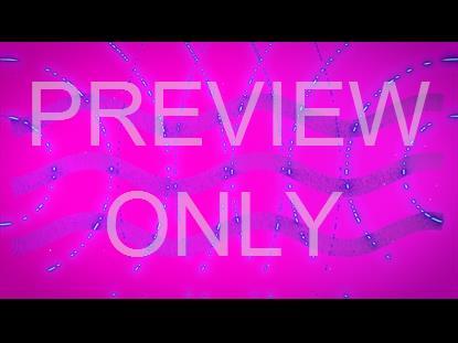 Vibrant Church Online 8