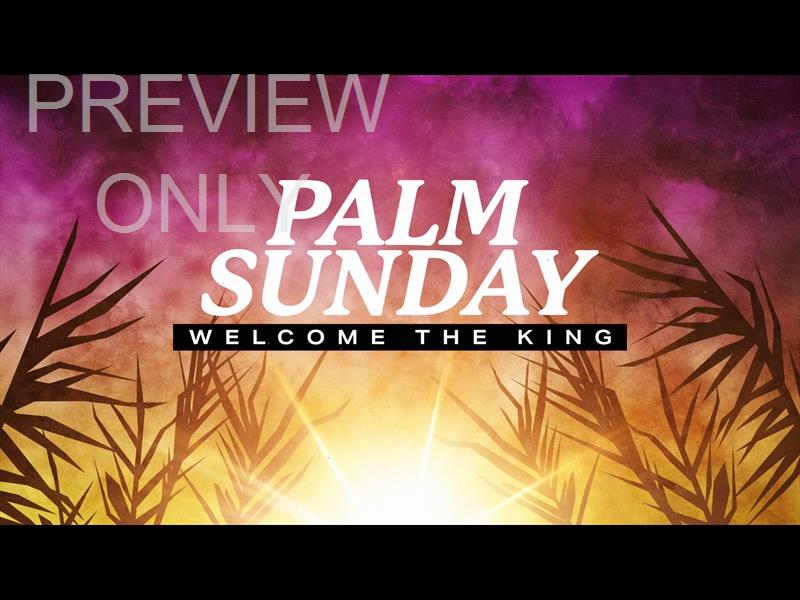 Bright Palm Sunday Title Still