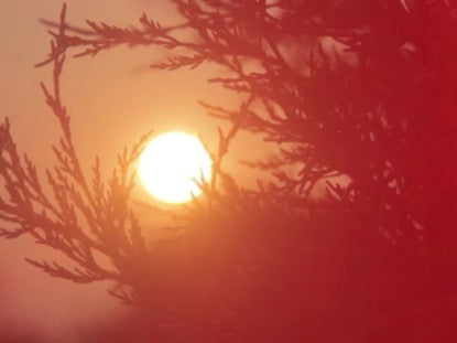 High Fashion Nature 8