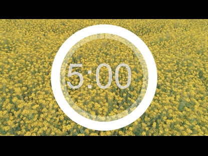 Spring Countdown