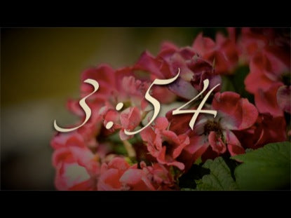 Vintage Flower Countdown