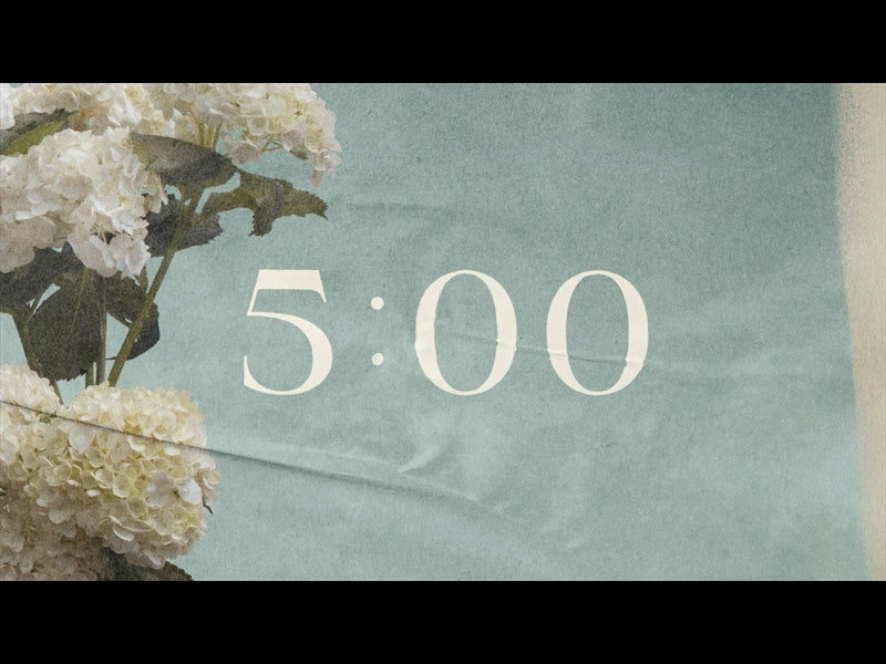 Hydrangea Countdown