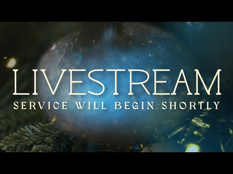 Bright And Beautiful Livestream