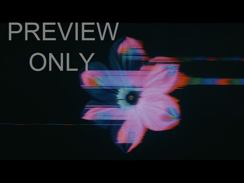 Crt Flowers 14 Still