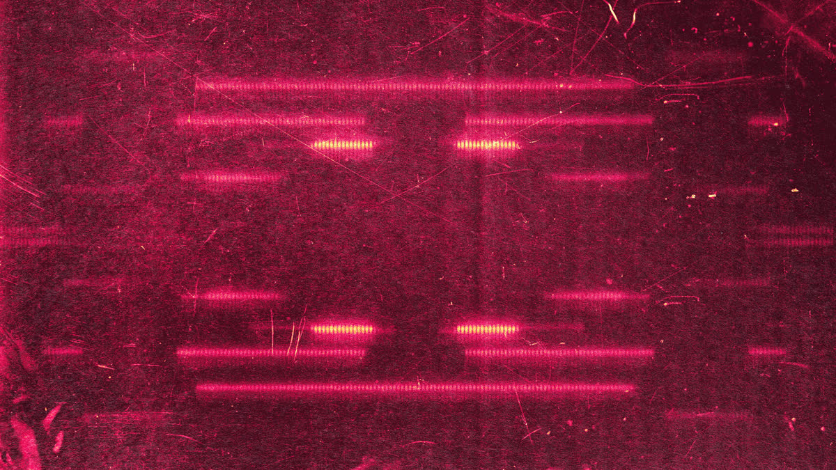 Digital Dust 6