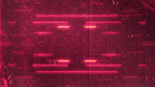 Digital Dust 6