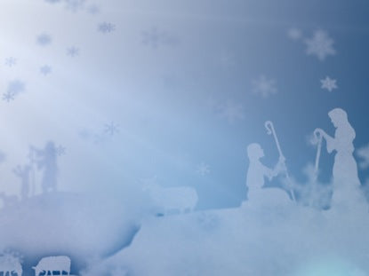 White Christmas Shepherds